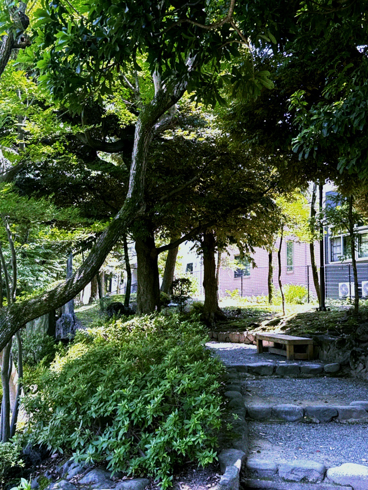 Old Yasuda Garden pathway